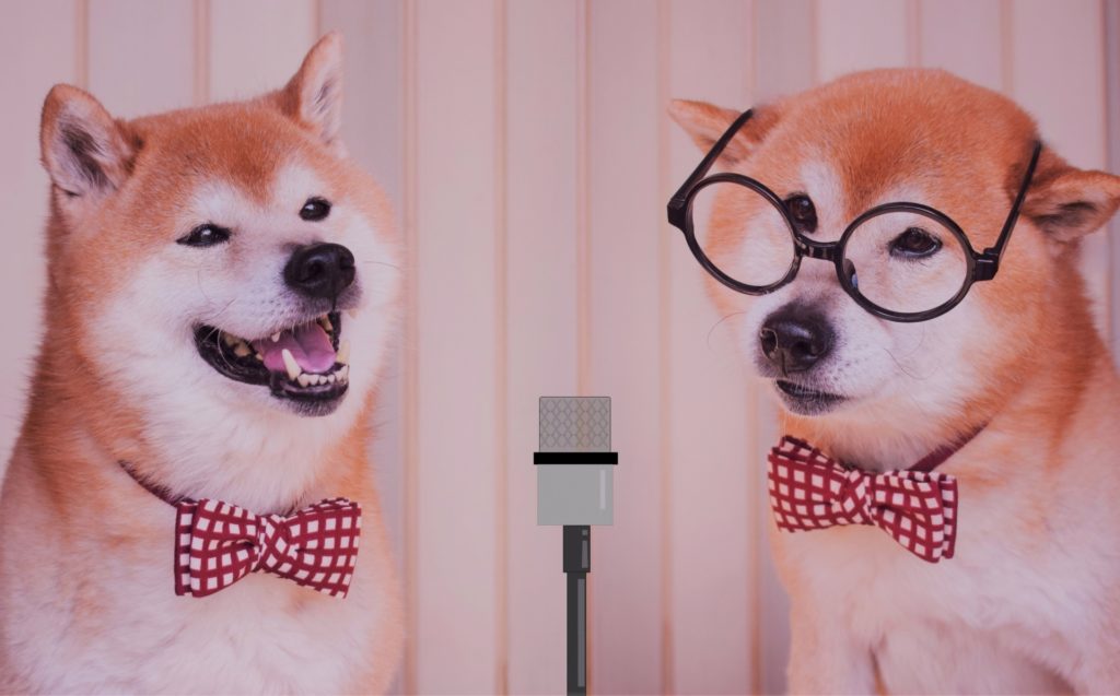 ブログ写真