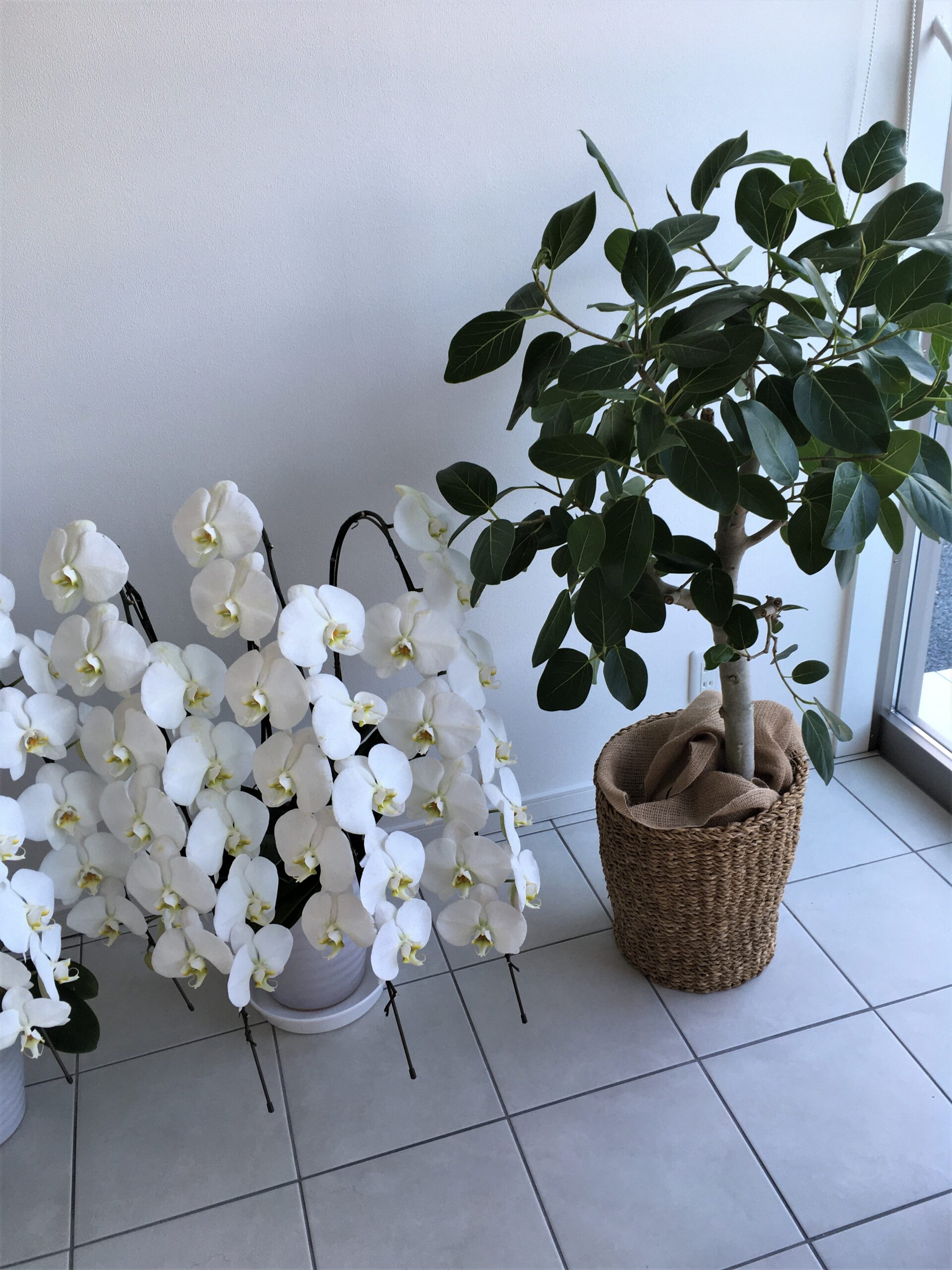 手がかかる子ほどかわいいとはいいますが アサヒ印刷株式会社